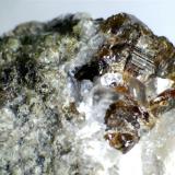 Carbonatita: más cristales de vesubianita (misma roca).
Cove Creek exposure, Magnet Cove, Hot  Spring County, Arkansas (Estados Unidos)
20X (Autor: prcantos)
