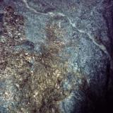 Anfibolita, con mineralización de sulfuros.
Mina de Bama, Touro, A Coruña, Galicia, España
15,5 x 13 x 12 cm.
Roca metamórfica formada durante el Precámbrico Algónquico. 
Detalle de la muestra anterior, (Autor: Rafael varela olveira)