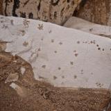 magnesita-esmectita
Barranco de Guanarteme. Las Palmas de Gran Canaria. España.
Ancho de imagen 30 cm.
Detalle de las dendritas de óxidos de manganeso. (Autor: María Jesús M.)