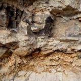 Magnesita-esmectita, cubierta de negro por óxidos de manganeso.
Barranco de Guanarteme. Las Palmas de Gran Canaria. España.
Altura aproximada unos 1,5 metros.
El estrato de magnesita-esmectita está intercalado entre dos tobas volcánicas bastante degradadas. (Autor: María Jesús M.)