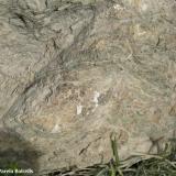 Corneana calcosilicatada. Procede de un sedimento carbonático depositado durante el Ordovícico sometido al metamorfismo de contacto de la intrusión de los granitoides hercínicos. (Autor: Frederic Varela)