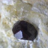 Cristal de zircón en la pegmatita anterior (detalle)
Mina Nibbio, Mergozzo, Verbano-Cusio-Ossola Province, Piedmont, Italia
80X (Autor: prcantos)