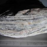 Milonita
Noruega
9 x 4&rsquo;5 cm.
Vista lateral de la misma roca.  Se observan los nódulos cualzofeldespáticos rodeados por filosilicatos oscuros.  Hacia la izquierda es visible un pequeño pliegue acostado (Autor: prcantos)