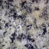 Gneis
Río Acasta, Isla a 300 km. al norte de Yellowknife, Territorios del Noroeste, Canadá
75 X
Detalle de la misma pieza.  Es una roca cristalina de grano fino y  con bandeado apreciable. (Autor: prcantos)