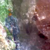 Eclogita (detalle)
Almklovdalen, Vanylven, Møre og Romsdal, Noruega
2 mm. ancho de campo
Cristales de cianita junto al granate y la onfacita. (Autor: prcantos)