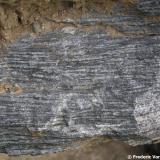 Corneana hornblendica "in situ".
Serra de Collserola, Barcelona (ciudad), Barcelonès, Barcelona, Catalunya, España
En este caso la corneana proviene de una roca sedimentaria formada por cenizas volcánicas que se depositaron durante el Ordovícico y que sufrieron el metamorfismo de contacto de la intrusión de los granitoides hercínicos. Estas rocas pertenecen a la aureola interna (la más cercana al granitoide) de este metamorfismo. Es una roca oscura, muy dura, con marcada estructura foliada y rica en hierro y magnesio. Puede observarse también la fractura típica. (Autor: Frederic Varela)