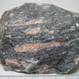 Migmatita
Noruega central
10 x 7 cm.
Los lentejones de leucosoma están alineados según el fino bandeado del paleosoma. (Autor: prcantos)