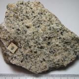 Granito de dos micas
Isles of Scilly, Cornwall, Inglaterra, Reino Unido
6 x 5 cm.
Granito claro con biotita y moscovita. (Autor: prcantos)