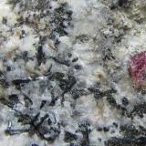 Sienita alcalina con eudialita
Cove Creek, Magnet Cove, Hot Spring County, Arkansas, Estados Unidos
1&rsquo;5 cm. ancho de campo
Detalle de la roca anterior. (Autor: prcantos)