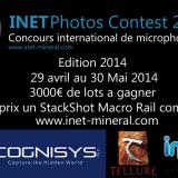 inetcontest2014 grand.jpg (Autor: pfont)