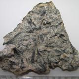 MetavulcanitaSkisshyttan, Västra Silvberg Mining district, Ludvika, Smedjebacken, Dalarna, Sweden7 x 5 cm. (Autor: prcantos)