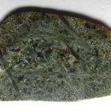 KomatiitaKomati Formation, Barberton Greenbelt, South Africa4 x 2 cm. (Autor: prcantos)