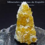 Fluorita<br />Explotación La Florina, Mina Gloria Segunda, Hornachuelos, Comarca Valle Medio del Guadalquivir, Córdoba, Andalucía, España<br />40x80 mm<br /> (Autor: Ignacio)