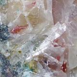 Eritrina<br />Mina Linda Mariquita, El Molar, Comarca Priorat, Tarragona, Cataluña / Catalunya, España<br />Encuadre 1cm aprox.<br /> (Autor: heat00)