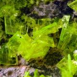 Autunite<br />Senhora da Assunção Mine, Aldeia Nova, Ferreira de Aves, Sátão, Viseu District, Portugal<br />FOV 1 cm<br /> (Author: Cesar M. Salvan)