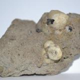 Tefrita leucíticaOrchi, Conca della Campania, Roccamonfina Volcanic Complex, Caserta Province, Campania, Italy85x55x35 mm (Autor: Raul S. Llorente)