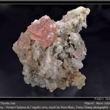 Fluorite on albiteAiguille Verte (lado La Charpoua), Mont Blanc, Chamonix, Haute-Savoie, Auvergne-Rhône-Alpes, Franciafov 50 mm (Author: ploum)