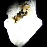 Allanita-(Ce) y Dolomita.Trimouns Mine, Luzenac, Haute-Ariège, Foix, Ariège Department, Occitanie, France50x45 mm. (Autor: Jesus Franquesa Baucells)