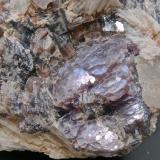 Lepidolita<br />Virgem da Lapa, Vale do Jequitinhonha, Minas Gerais, Brasil<br />Ancho de imagen 4 cm<br /> (Autor: María Jesús M.)