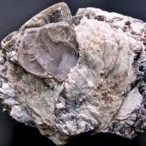 Lepidolita, Albita (variedad Cleavelandita)<br />Virgem da Lapa, Vale do Jequitinhonha, Minas Gerais, Brasil<br />10 x 8 x 7 cm<br /> (Autor: María Jesús M.)