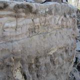 This image shows the sedimentary nature of the Little Falls dolostone. The exposed section is about 5’ high and clearly shows a foamy silicified stromatolithic layer below a finer grained strata. The days digging began to the right of this corner. (Author: vic rzonca)