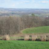 Farmland, much of it worked by the Amish, on the way up to the dolostone. (Author: vic rzonca)