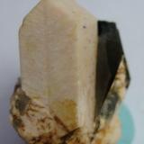 Microcline with Quartz (variety smoky quartz)<br />Mas Sever Quarry, Massabè (Mas Ceber), Sils, Comarca La Selva, Gerona / Girona, Catalonia / Catalunya, Spain<br />6 cm<br /> (Author: marco campos-venuti)