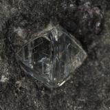 Diamond<br />Sedibeng Diamond Mine, Windsorton, Dikgatlong, Frances Baard, Northern Cape Province, South Africa<br />Approximately 4 mm wide<br /> (Author: am mizunaka)