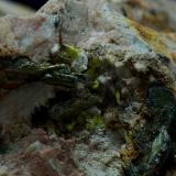 UranocircitaMina Diéresis, Puerto del Cabril, Hornachuelos, Comarca Valle Medio del Guadalquivir, Córdoba, Andalucía, EspañaCampo de visión de 20 mm (Autor: Antonio Carmona)