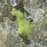 Agardita-(Y)San Guillermo Mine, El Guijo, Comarca Los Pedroches, Córdoba, Andalusia, SpainCampo de visión de 2 mm (Autor: Antonio Carmona)