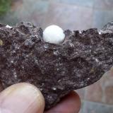 CalcitaPedrera Can Súria (Pedrera Guixeres), Maçanet de la Selva, Comarca La Selva, Gerona / Girona, Cataluña / Catalunya, España7 x 4 cm (Autor: Cristalino)