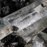 Olshanskyite<br />Shijiangshan Mine, Shijiangshan village, Yinwu, Linxi, Ulanhad League, Inner Mongolia Autonomous Region, China<br />FOV 1.5 cm<br /> (Author: Cesar M. Salvan)
