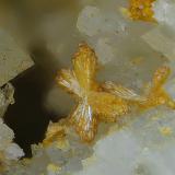 VanadinitaLabores mineras del paraje Matagallar, Coín, Comarca Valle del Guadalhorce, Málaga, Andalucía, EspañaCampo de visión de 1,5 mm (Autor: Antonio Carmona)