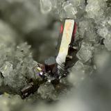 ProustitaLas Cruces Mine, Gerena-Guillena-Salteras, Comarca Sierra Norte, Seville, Andalusia, SpainCampo de visión de 7 mm (Autor: Antonio Carmona)