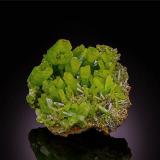 Pyromorphite<br />Daoping Mine, Gongcheng, Guilin Prefecture, Guangxi Zhuang Autonomous Region, China<br />H: 4cm x W: 4cm x D: 1.6cm<br /> (Author: Adrian Pripoae)