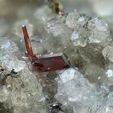 ProustitaLas Cruces Mine, Gerena-Guillena-Salteras, Comarca Sierra Norte, Seville, Andalusia, SpainCampo de visión de 3 mm. (Autor: Antonio Carmona)