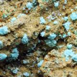AuricalcitaMines de Can Montsant, Can Montsant (Massís del Montnegre), Hortsavinyà, Tordera, Comarca Maresme, Barcelona, Cataluña / Catalunya, España4,5 x 3 x 1,5 cm (Autor: karbu8)