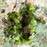 ClinozoisitaCantera Los Arenales, Monte La Rocha de Piquer, Torás, Comarca Alto Palancia, Castellón / Castelló, Comunidad Valenciana / Comunitat Valenciana, España50x28x14 mm (Autor: Juan Espino)