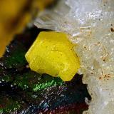 Mimetita sobre goethita y cerusita<br />Corta Filón Sur, Minas de Tharsis, Tharsis, Alosno, Comarca El Andévalo, Huelva, Andalucía, España<br />Campo de visión de 8 mm<br /> (Autor: Antonio Carmona)