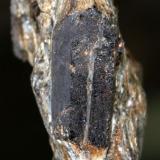 Estaurolita<br />La Dehesilla, Montejo de la Sierra, Comarca Sierra Norte, Comunidad de Madrid, España<br />68 x 45 x 21 mm.<br /> (Autor: José Luis Zamora)