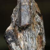 Estaurolita<br />La Dehesilla, Montejo de la Sierra, Comarca Sierra Norte, Comunidad de Madrid, España<br />68 x 45 x 21 mm<br /> (Autor: José Luis Zamora)