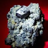 Perovskita<br />Macizo Afrikanda, Afrikanda, Península Kola, Murmanskaja Oblast, Región del Norte, Rusia<br />60x50 mm.<br /> (Autor: Jesus Franquesa Baucells)
