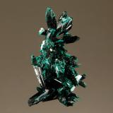 Brochantite<br />Milpillas Mine, Cuitaca, Municipio Santa Cruz, Sonora, Mexico<br />1.3 x 3.0 cm<br /> (Author: crosstimber)