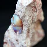 Ópalo<br />Mina la Carbonera, La Trinidad, Municipio Tequisquiapan, Querétaro, México<br />38 x 24 x 14 mm.<br /> (Autor: José Luis Zamora)