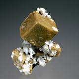 SideriteCantera Poudrette, Mont Saint-Hilaire, La Vallée-du-Richelieu RCM, Montérégie, Québec, Canadá2.0 x 2.5 cm (Author: crosstimber)