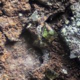 Libethenita<br />Canteras de mármol, Estremoz, Distrito Évora, Província Alentejo Central, Región Alentejo, Portugal<br />Campo 2.1 mm<br /> (Autor: Adolfo Ruiz)