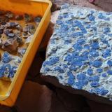 Azurite<br />Malbunka copper Mine, Western Aranda, Ltalaltuma, Australia<br /><br /> (Author: crocoite)