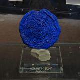 Azurite<br />Malbunka copper Mine, Western Aranda, Ltalaltuma, Australia<br /><br /> (Author: crocoite)