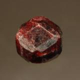 AlmandineGarnet Ledge, Wrangell, Isla Wrangell, Wrangell-Petersburg, Alaska, USA1.0 x 1.0 cm (Author: crosstimber)