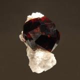 SpessartineGarnet Hill, Ely, Distrito Robinson, Condado White Pine, Nevada, USA1.1 x 2.0 cm (Author: crosstimber)